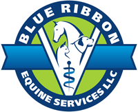 Blue Ribbon Equine Services, LLC